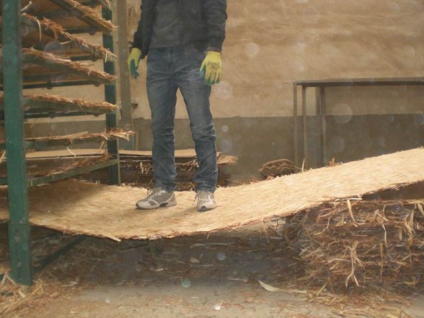 OSB3 from Consmos Wood