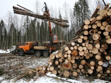 Приглашаем на заготовку леса
