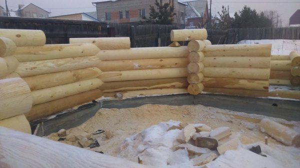 Оцилиндрованное бревно из сибирского леса