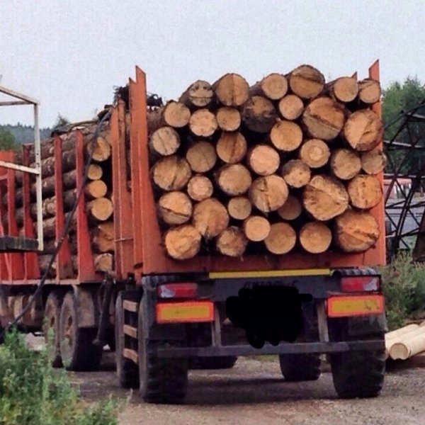 Продам пиловочник , баланс г.Пермь