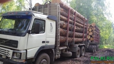 Продам пиловочник хвойных пород Сосна и Елка