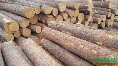Продам кругляк кедра в Красноярске