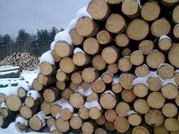 Пиловочник хвойных пород