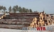 Кругляк диаметром 18 см