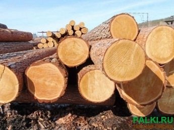 КУПИМ КРУГЛЯК СОСНЫ И ЛИСТВЕННИЦЫ