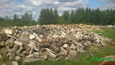 Продам дрова осиновые оптом.