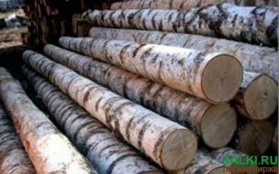 Береза круглый лес от заготовителя