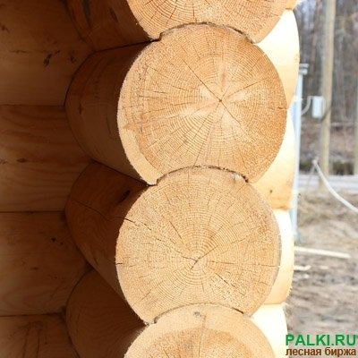 Оцилиндрованное бревно от производителя