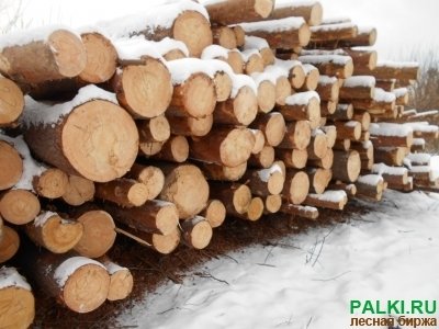 Продам хвойный пиловочник всех диаметров