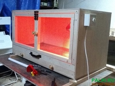 Брудеры для цыплят