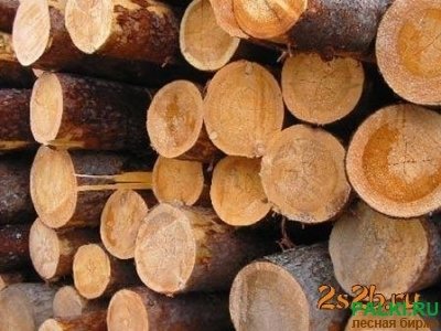 Продам акацию