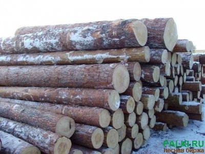 Покупаем лес круглый, сосна, ель, пихта.