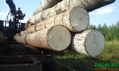 Продаем кругляк свежеспиленной осины