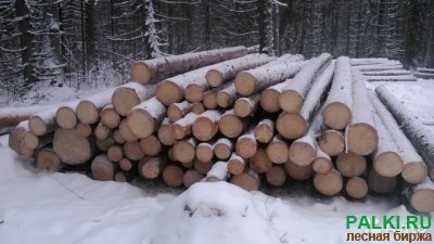 Продам лес кругляк