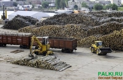 Закупаем круглый лес/ балансы береза, сосна, ель, осина. Диаметр=6-55 см, Длина =3.0, 4.0, 6.0 м.