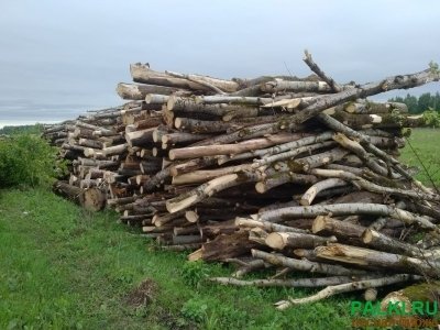 Продаю отходы, горбыль, щепу разных пород