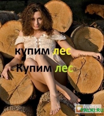 куплю дуб кругляк