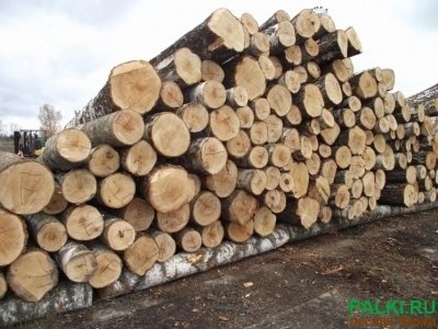 Куплю Фанерный кряж