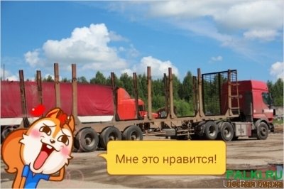 перевозка леса кругляка, пиловочник