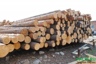 Продам кругляк, пиломатериал сосна 6м от 18 см диаметр - 3200+НДС18% Документы безнал. НАЛ . Пиломатериал -8000 с места
