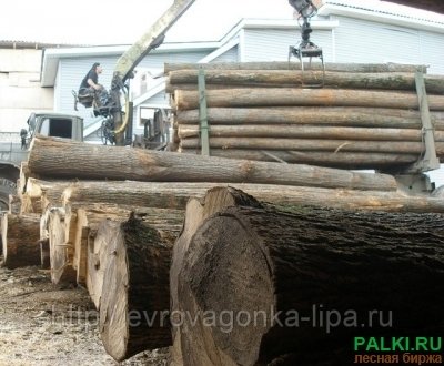 Куплю Липу
