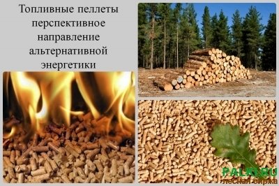 Пеллеты из опила хвойных пород