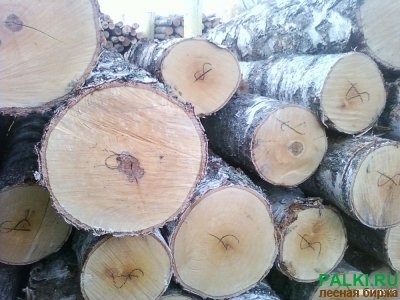 Березовый кряж и пиловочник