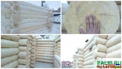 Доску дуба, березы, хвои в большом количестве. Республика Башкортостан