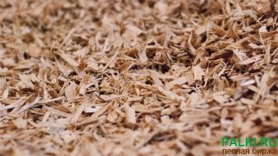 Древесную щепу (мягкие породы) 500 тонн в месяц