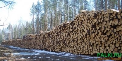 Куплю Пиловочник