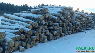 Балансы разных пород сосна, осина