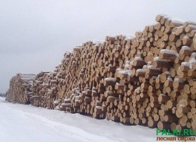 Продам лес кругляк. Деловой и Тонкомер. Объём 1000 кубов.