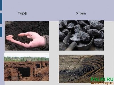 торф и уголь