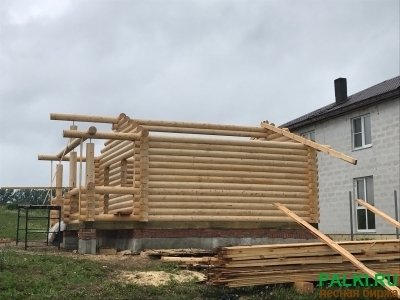 Срубы из кедра, лиственницы, сосны от производителя