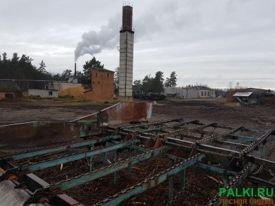 линия автоматической сортировки круглых бревен