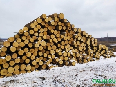 Кругляк дуб, ясень, липа в Туле и Тульской области