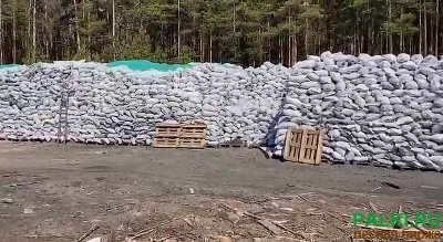 Древесный уголь от производителя и карандаш (береза, осина)