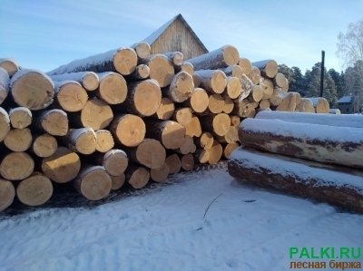 Кругляк березу в большом объеме