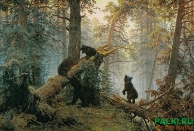 Наша компания готова избавить Вас от отходов деревообрабатывающих производств.