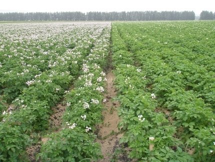 способы и пакеты документов по переработке отходов