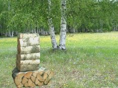 Дрова березовые (сухие и естественной влажности)