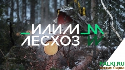 Закупаем постоянно строганные доски и погонаж из сосны и елки