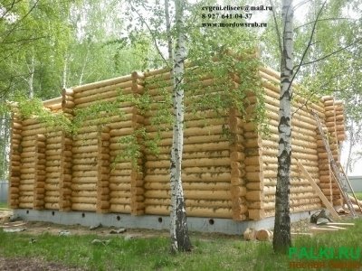 Срубы из Мордовии на заказ